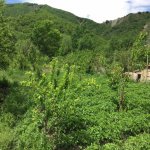 Satılır 5 otaqlı Həyət evi/villa Xızı 19