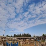 Satılır 5 otaqlı Həyət evi/villa, Xəzər rayonu 10