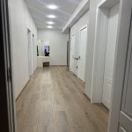 Kirayə (aylıq) 3 otaqlı Yeni Tikili, Nəriman Nərimanov metrosu, Montin qəs., Nərimanov rayonu 12