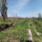 Продажа Участок Хачмаз 26