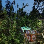 Посуточно 3 комнатная Дома/Виллы Гябяля 4