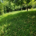 Kirayə (günlük) 3 otaqlı Bağ evi İsmayıllı 8