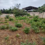 Satılır Torpaq, Neftçilər metrosu, 8-ci kilometr, Nizami rayonu 4