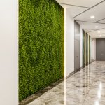 Kirayə (aylıq) 3 otaqlı Ofis, Nəriman Nərimanov metrosu, Böyükşor qəs., Nərimanov rayonu 8