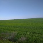 Satılır Torpaq Xaçmaz 4