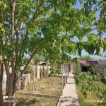 Satılır 4 otaqlı Bağ evi, Saray, Abşeron rayonu 7