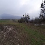 Satılır Torpaq Ağsu 4