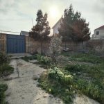 Satılır Torpaq, Novxanı, Abşeron rayonu 4