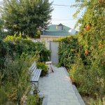 Satılır 2 otaqlı Həyət evi/villa, Saray, Abşeron rayonu 2