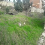 Satılır Torpaq, Zığ qəs., Suraxanı rayonu 13