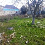 Satılır Torpaq, Zabrat qəs., Sabunçu rayonu 2