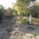 Satılır Torpaq, Avtovağzal metrosu, Sulutəpə qəs., Binəqədi rayonu 9