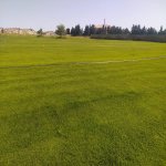Satılır Torpaq, Buzovna, Xəzər rayonu 3