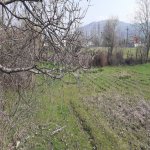 Satılır Torpaq Quba 4