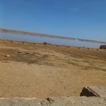 Satılır Torpaq, Saray, Abşeron rayonu 4