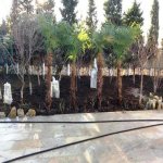 Kirayə (günlük) 8 otaqlı Bağ evi, Mərdəkan, Xəzər rayonu 4