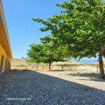 Kirayə (günlük) 4 otaqlı Həyət evi/villa Şabran 31
