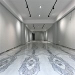 Kirayə (aylıq) Obyekt, Nəriman Nərimanov metrosu, Nərimanov rayonu 4