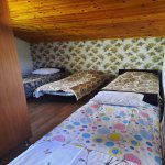 Kirayə (günlük) 4 otaqlı Həyət evi/villa Qax 15