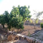 Satılır 4 otaqlı Həyət evi/villa, Binə qəs., Xəzər rayonu 9
