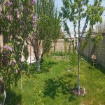 Kirayə (günlük) 3 otaqlı Həyət evi/villa Qusar 6