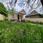 Kirayə (günlük) 3 otaqlı Həyət evi/villa Qəbələ 2