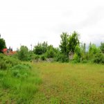Satılır Torpaq İsmayıllı 12