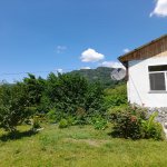 Посуточно 3 комнат Дома/Виллы Исмаиллы 17