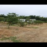 Satılır Torpaq Xaçmaz 33
