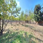 Satılır Torpaq, Novxanı, Abşeron rayonu 17