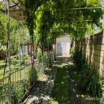 Kirayə (günlük) 4 otaqlı Həyət evi/villa Qax 6