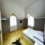 Satılır 7 otaqlı Həyət evi/villa Qəbələ 16