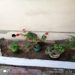 Kirayə (aylıq) 3 otaqlı Bağ evi, Mərdəkan, Xəzər rayonu 8