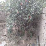 Satılır Torpaq, Binə qəs., Xəzər rayonu 4