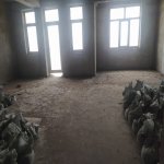 Satılır 2 otaqlı Yeni Tikili, Əhmədli metrosu, Xətai rayonu 2