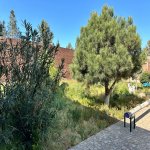 Satılır 6 otaqlı Həyət evi/villa, Şüvəlan, Xəzər rayonu 24