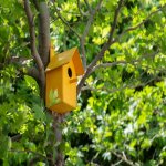 Kirayə (aylıq) 3 otaqlı Yeni Tikili, Nizami metrosu, Yasamal rayonu 14