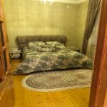 Satılır 5 otaqlı Həyət evi/villa Şəmkir 14