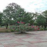 Kirayə (aylıq) 3 otaqlı Bağ evi, Mərdəkan, Xəzər rayonu 13