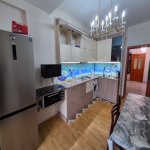 Kirayə (aylıq) 2 otaqlı Yeni Tikili, Nəriman Nərimanov metrosu, Montin qəs., Nərimanov rayonu 13