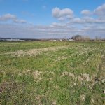 Satılır Torpaq Şabran 19