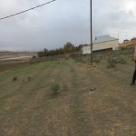 Satılır Torpaq, Saray, Abşeron rayonu 5