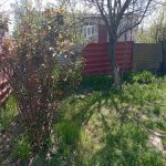 Satılır Torpaq Quba 8