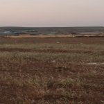 Satılır Torpaq, Masazır, Abşeron rayonu 5