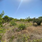 Satılır 7 otaqlı Həyət evi/villa, Novxanı, Abşeron rayonu 10