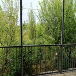 Satılır 4 otaqlı Həyət evi/villa Şamaxı 21