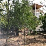 Kirayə (aylıq) 5 otaqlı Bağ evi, Xəzər rayonu 8