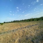 Satılır Torpaq Xaçmaz 4