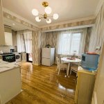 Kirayə (aylıq) 2 otaqlı Yeni Tikili, Nəriman Nərimanov metrosu, Nərimanov rayonu 12