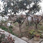 Satılır 6 otaqlı Həyət evi/villa, Suraxanı rayonu 22